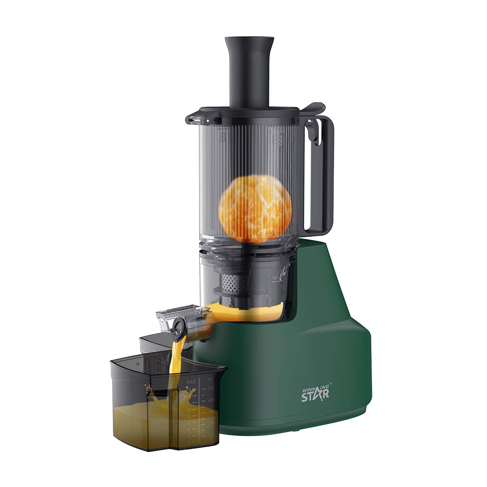 0.3L Mini Juice Extractor – WINNINGSTAR