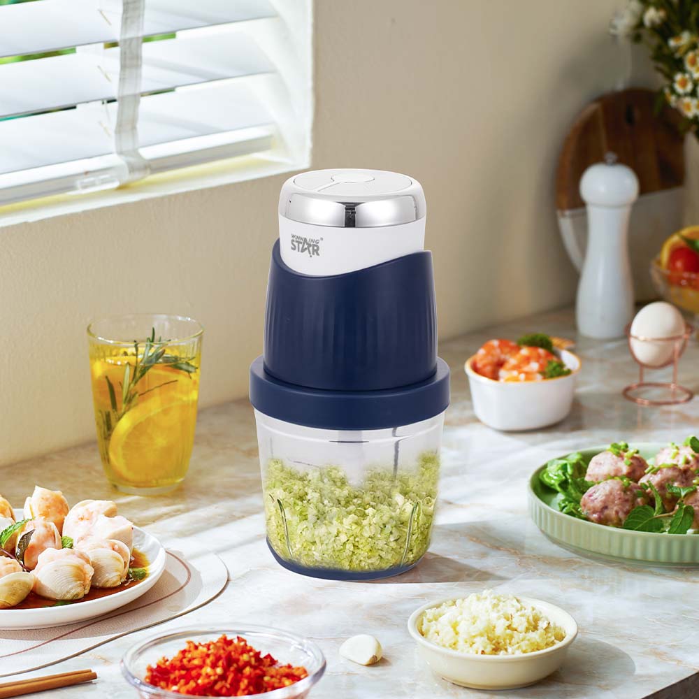 3-in-1 Food Processor – WINNINGSTAR