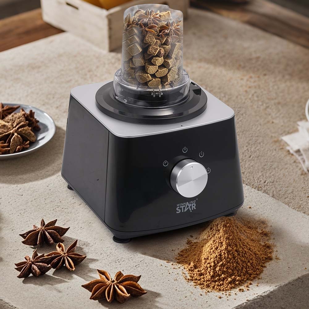 10-in-1 Food Processor – WINNINGSTAR