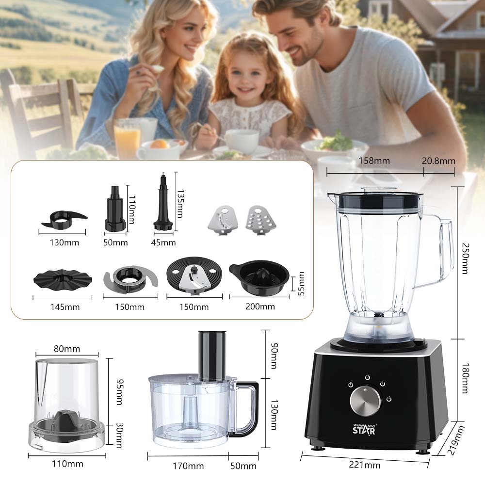 10-in-1 Food Processor – WINNINGSTAR