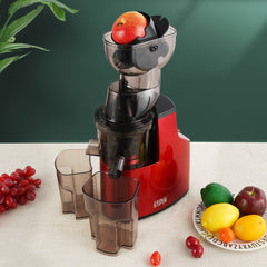 Juicer with PP Cup and 304 Stainless Steel Strainer – WINNINGSTAR