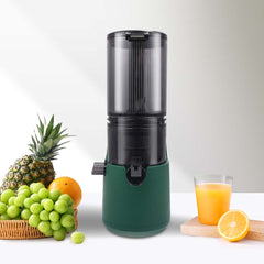 0.3L Mini Juice Extractor – WINNINGSTAR