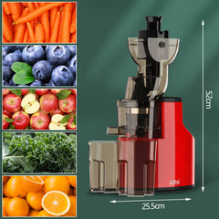 Juicer with PP Cup and 304 Stainless Steel Strainer – WINNINGSTAR