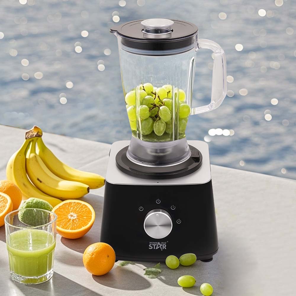 10-in-1 Food Processor – WINNINGSTAR