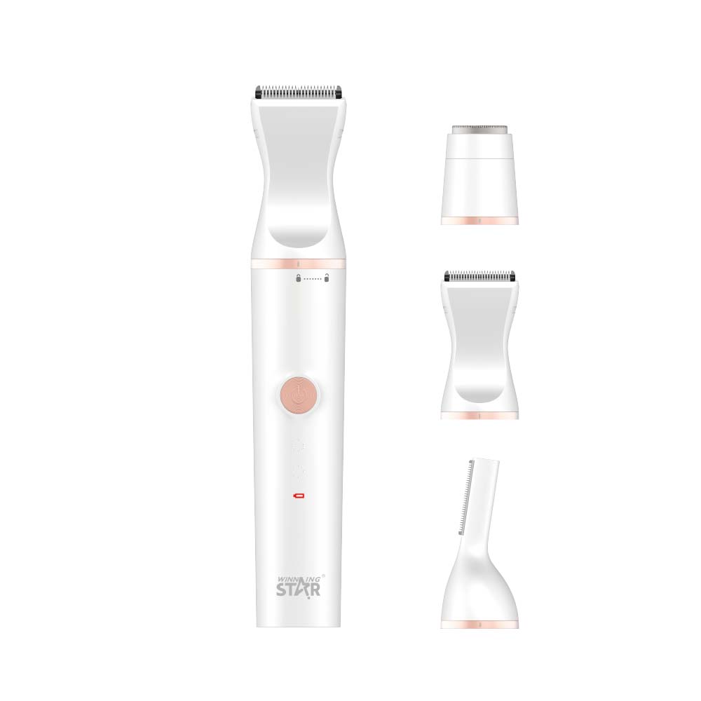 3-in-1 Rechargeable Beauty Kit – WINNINGSTAR